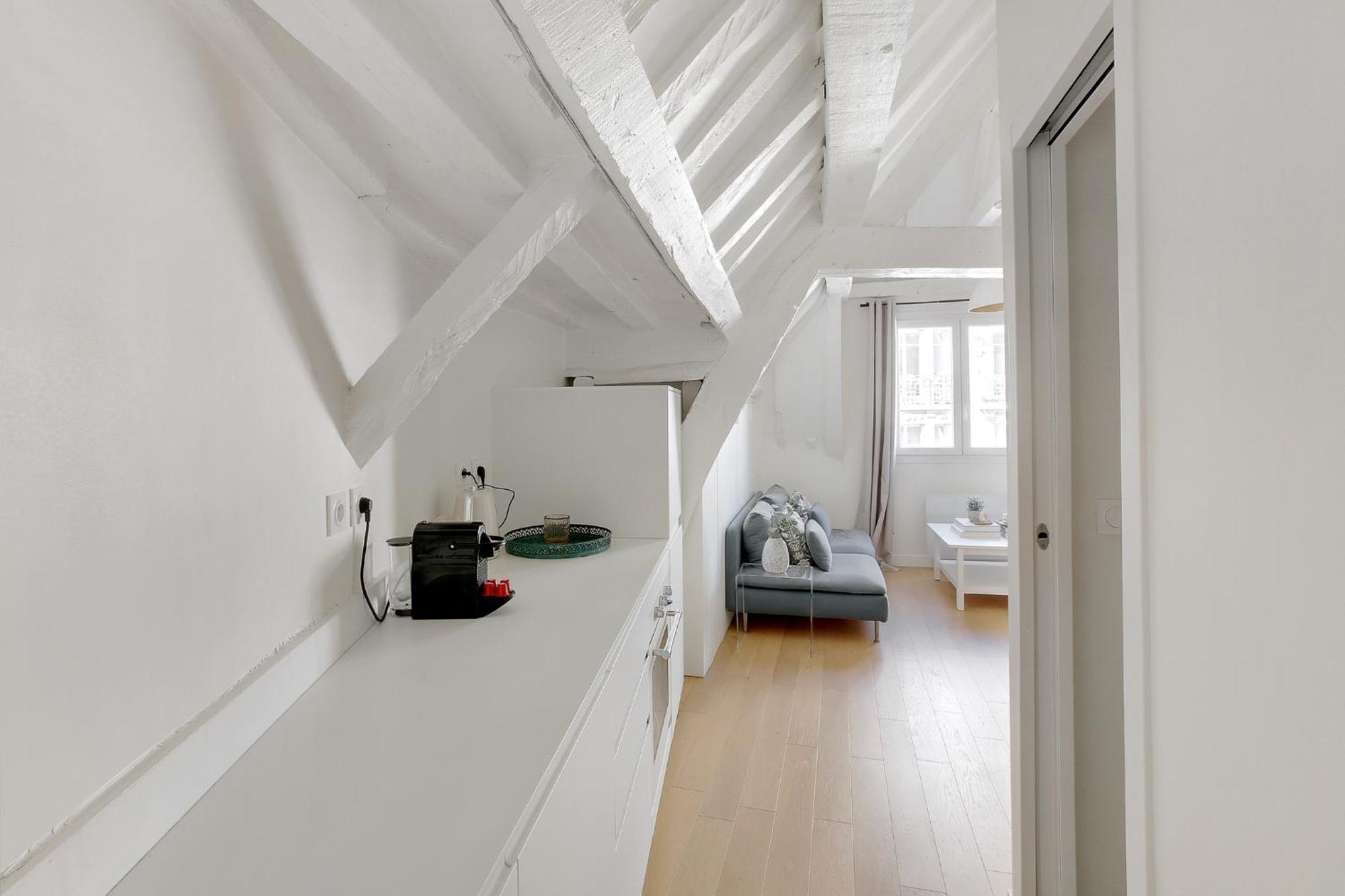 - Notre-dame Apartment Paris